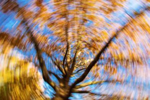 dizziness-1